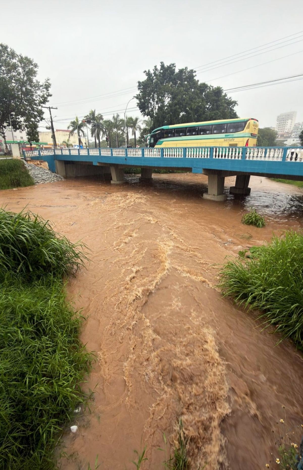 Cidade mineira registra maior volume de chuva desde 2008, acumulando 211 mm em 24h