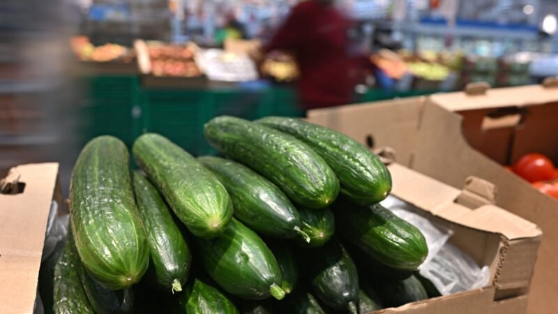 Como o pepino se tornou o mais recente símbolo da inflação em tempos de guerra na Rússia