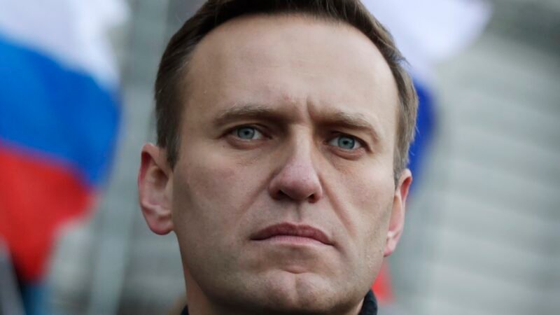 Quem era Alexei Navalny, opositor russo que morreu intoxicado com veneno de rãs da América do Sul