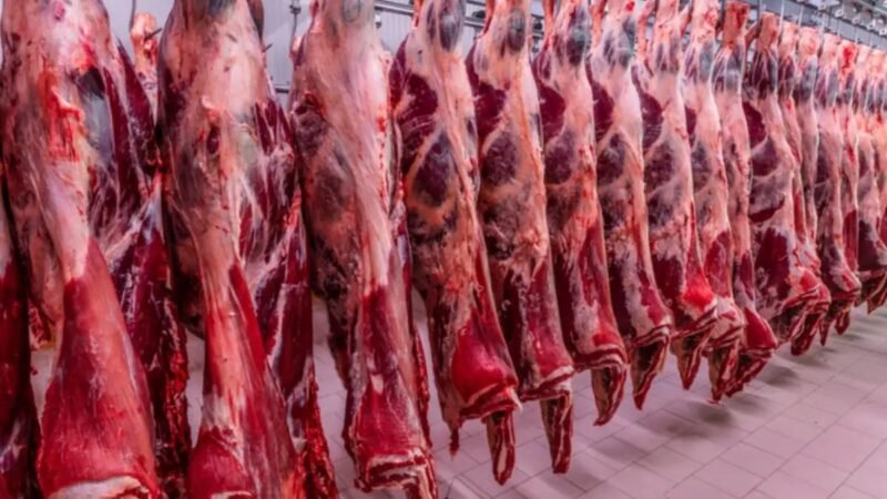 Trump assina decreto para aumentar importações de carne da Argentina, diz Casa Branca