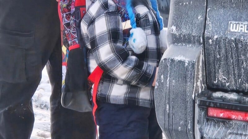 Juiz manda soltar menino de 5 anos e o pai, detidos pelo ICE