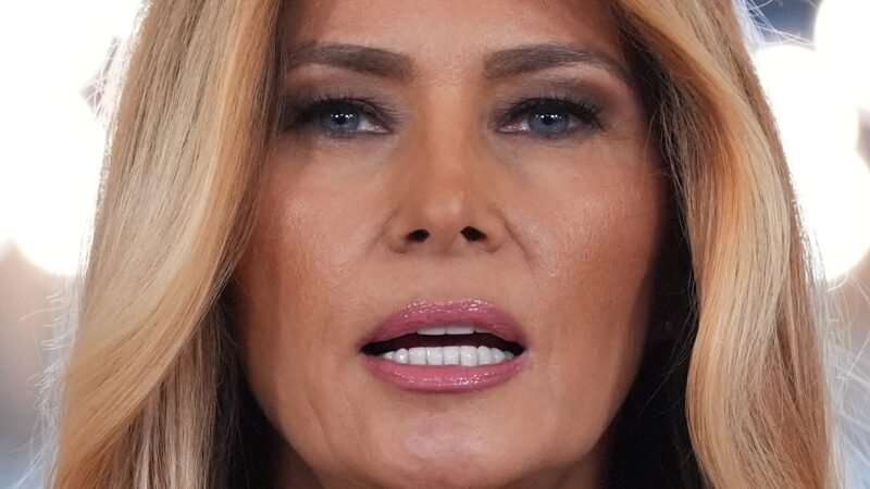 Nunca tive relacionamento com Epstein e ele não me apresentou a Trump, diz Melania