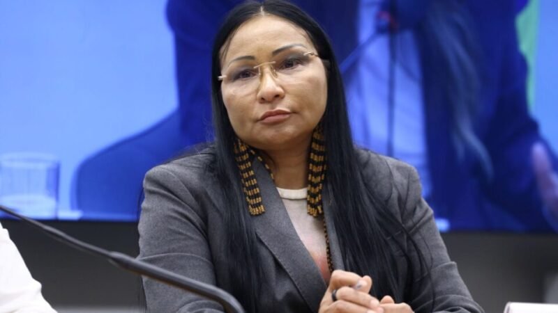 Por unanimidade, TSE mantém cassação de Silvia Waiãpi