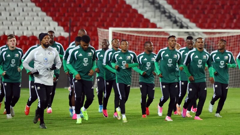 Problemas com vistos atrasam viagem de seleção da África do Sul para a Copa