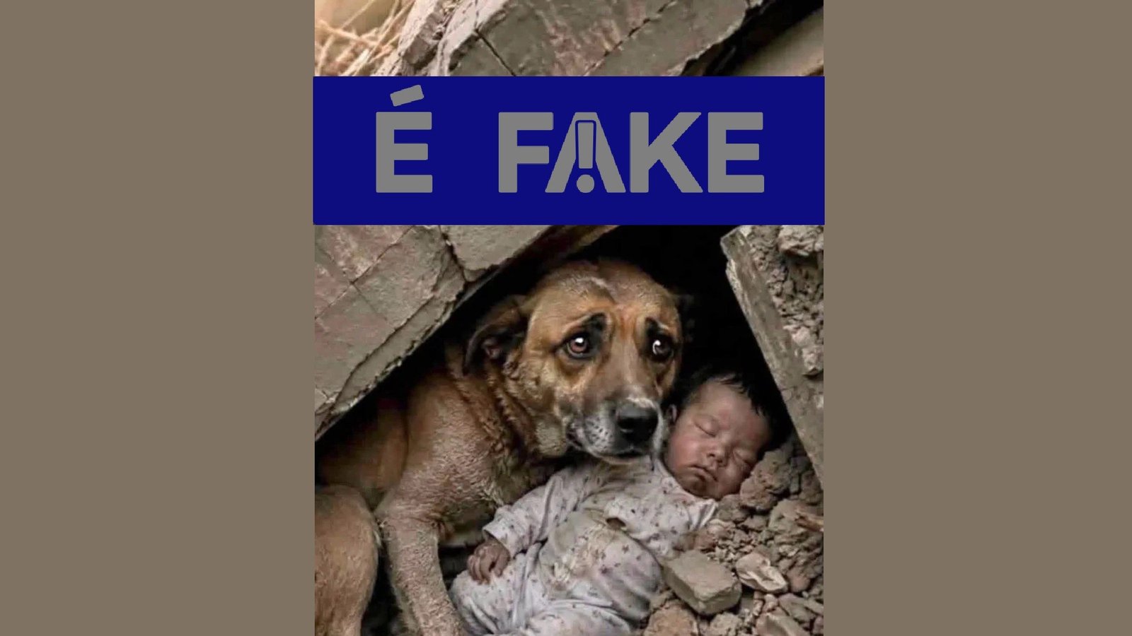 É #FAKE foto de cachorro protegendo bebê em terremoto na Venezuela; imagem foi criada com inteligência artificial