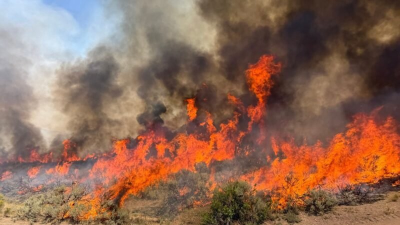 Helicóptero que combatia incêndio florestal cai no oeste dos EUA com 2 a bordo
