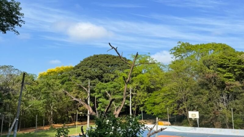 Onda de calor faz temperatura chegar aos 38 ºC em Divinópolis e região