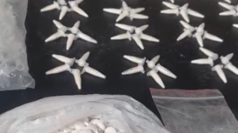 Adolescente é apreendido suspeito de armazenar mais 400 pinos de cocaína em Divinópolis